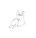 マガオネコ（個別スタンプ：38）