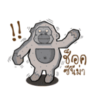 Mr.Kong（個別スタンプ：8）