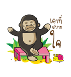 Mr.Kong（個別スタンプ：13）