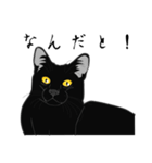 リアル系黒猫（個別スタンプ：2）