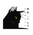 リアル系黒猫（個別スタンプ：3）