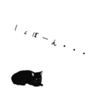 リアル系黒猫（個別スタンプ：5）