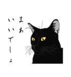 リアル系黒猫（個別スタンプ：6）