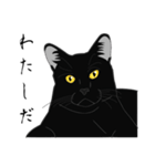 リアル系黒猫（個別スタンプ：11）