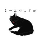 リアル系黒猫（個別スタンプ：14）