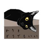 リアル系黒猫（個別スタンプ：15）