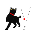 リアル系黒猫（個別スタンプ：18）