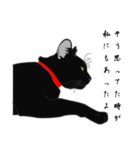 リアル系黒猫（個別スタンプ：22）