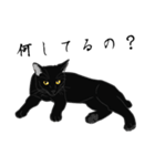 リアル系黒猫（個別スタンプ：24）