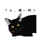 リアル系黒猫（個別スタンプ：25）