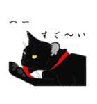 リアル系黒猫（個別スタンプ：26）