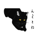 リアル系黒猫（個別スタンプ：28）