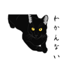 リアル系黒猫（個別スタンプ：29）