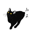 リアル系黒猫（個別スタンプ：32）