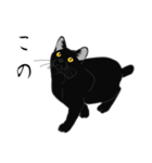 リアル系黒猫（個別スタンプ：33）