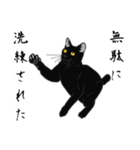 リアル系黒猫（個別スタンプ：34）