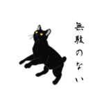 リアル系黒猫（個別スタンプ：35）