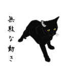 リアル系黒猫（個別スタンプ：36）