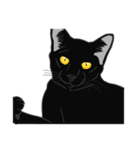 リアル系黒猫（個別スタンプ：38）