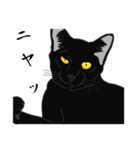 リアル系黒猫（個別スタンプ：39）