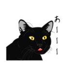 リアル系黒猫（個別スタンプ：40）