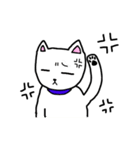 自立いぬ しろ（個別スタンプ：6）