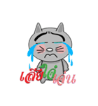 Korat cat 4（個別スタンプ：7）