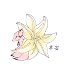沁県の花のキツネ（個別スタンプ：6）