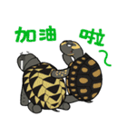 Tortoise diary - Part.2（個別スタンプ：14）