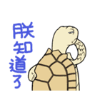 Tortoise diary - Part.2（個別スタンプ：35）