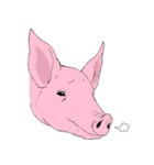 動物たちからの一言（個別スタンプ：12）