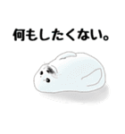 動物たちからの一言（個別スタンプ：16）