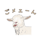 動物たちからの一言（個別スタンプ：20）