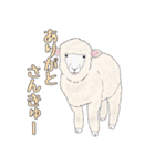 動物たちからの一言（個別スタンプ：21）