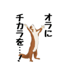 動物たちからの一言（個別スタンプ：23）