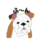 動物たちからの一言（個別スタンプ：27）