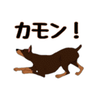 動物たちからの一言（個別スタンプ：28）