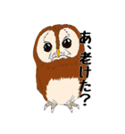 動物たちからの一言（個別スタンプ：29）