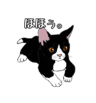 動物たちからの一言（個別スタンプ：33）