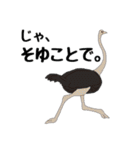 動物たちからの一言（個別スタンプ：39）