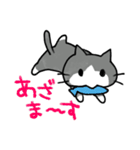 エキサイティング猫（個別スタンプ：13）