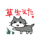 エキサイティング猫（個別スタンプ：23）