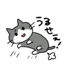 エキサイティング猫（個別スタンプ：24）