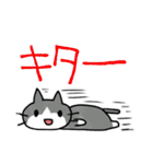 エキサイティング猫（個別スタンプ：36）