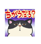 ねこざんまい2（個別スタンプ：9）