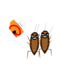 Mr.Cockroach ＆ Little Fly（個別スタンプ：20）