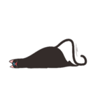 Black triangle cat（個別スタンプ：5）