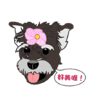 VV's friends I（個別スタンプ：12）