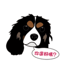 VV's friends I（個別スタンプ：19）