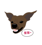 VV's friends I（個別スタンプ：32）